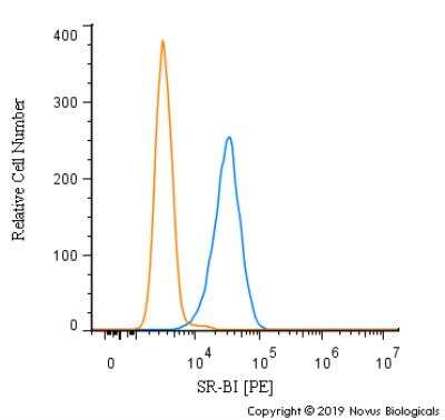 Flow Cytometry: SR-BI Antibody [PE] [NB400-104PE] - An intracellular stain was performed on SK-MEL-28 cells with SR-BI antibody NB400-104PE (blue) and a matched isotype control (orange). Cells were fixed with 4% PFA and then permeablized with 0.1% saponin. Cells were incubated in an antibody dilution of 2.5 ug/mL for 30 minutes at room temperature. Both antibodies were conjugated to Phycoerythrin.